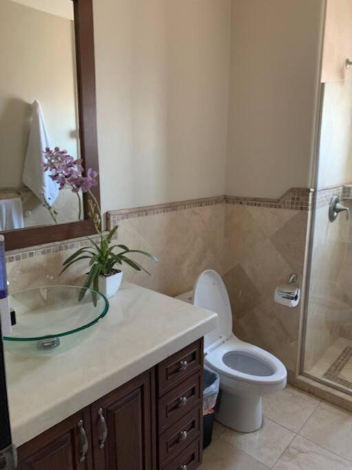 Access - Beach Penthouse Papas And Beer 2 Miles Wifi โรซาริโต ภายนอก รูปภาพ